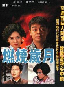 燃烧岁月国语