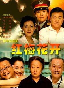 红梅花开2007